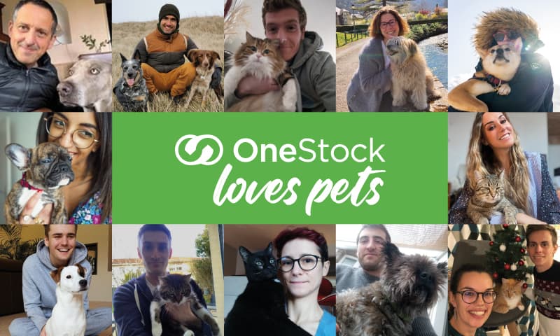 OneStock-Customers-CaseStudy-PETS-AT-HOME-illustration03
